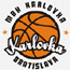 https://img.xymnet.com/img/basketball/team/0c2f73d2ab7041cf90029a20deff7f17.gif